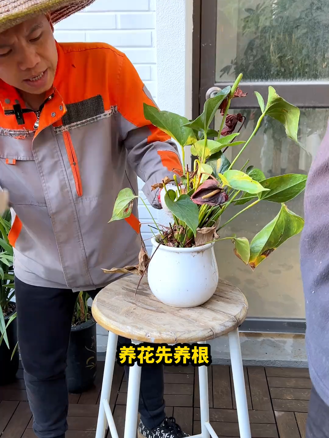 养花先养根，告诉你怎么养_腾讯新闻