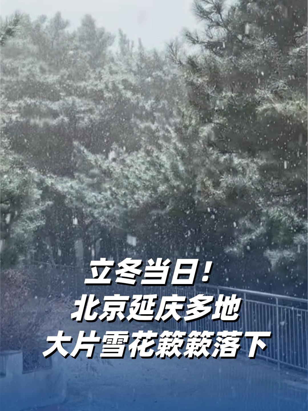立冬当日！北京延庆多地大片雪花簌簌落下_腾讯新闻