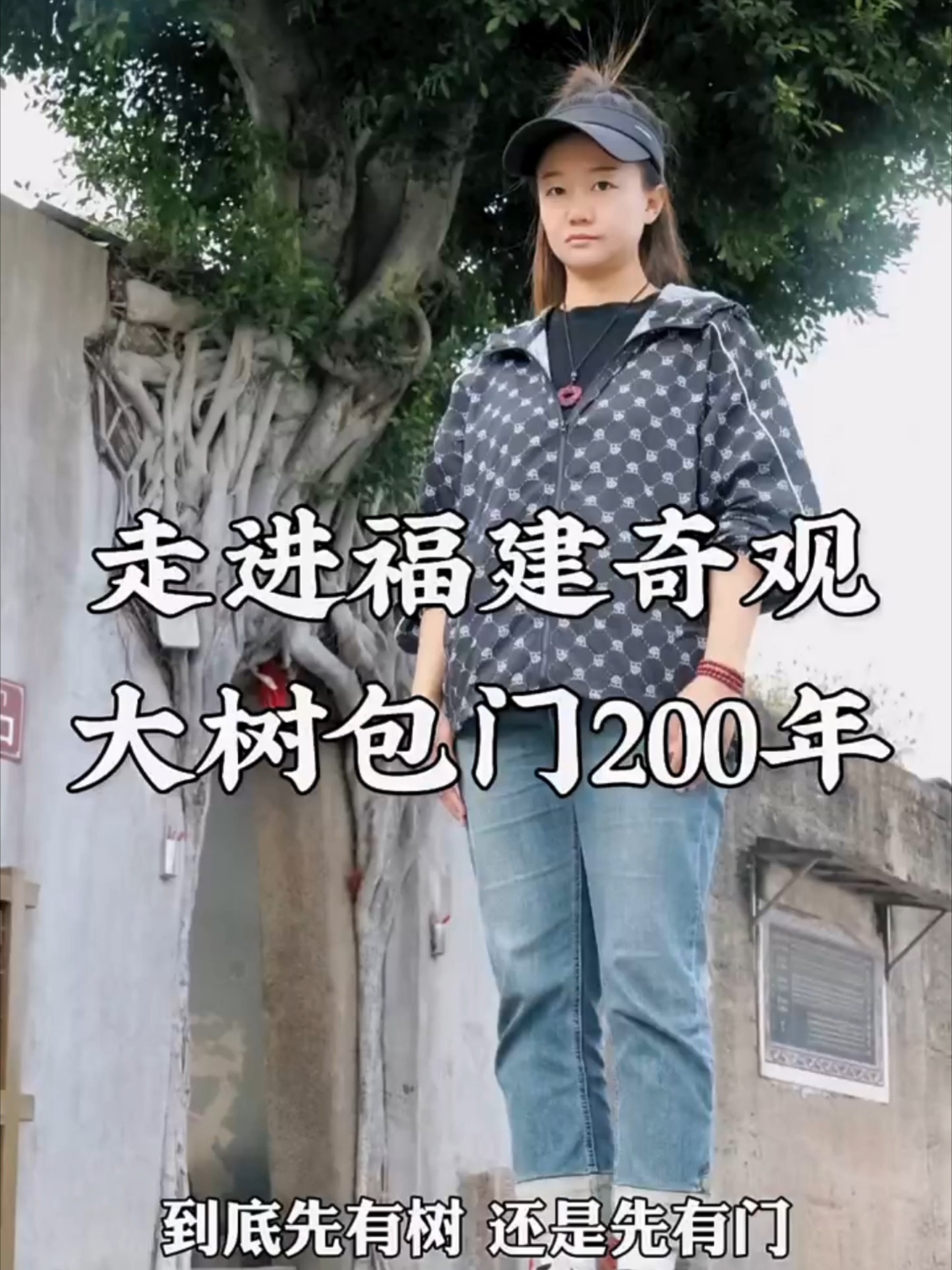 福建奇观 大树包门200年_腾讯新闻
