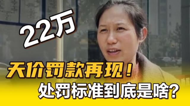 赚500元罚22万太多了！天价罚款单再现，处罚的标准是什么？小错为何要大惩！_腾讯新闻