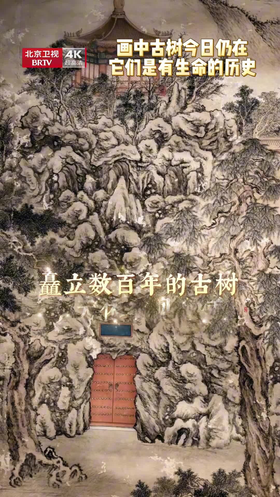 故宫古画里的树今天还在_腾讯新闻