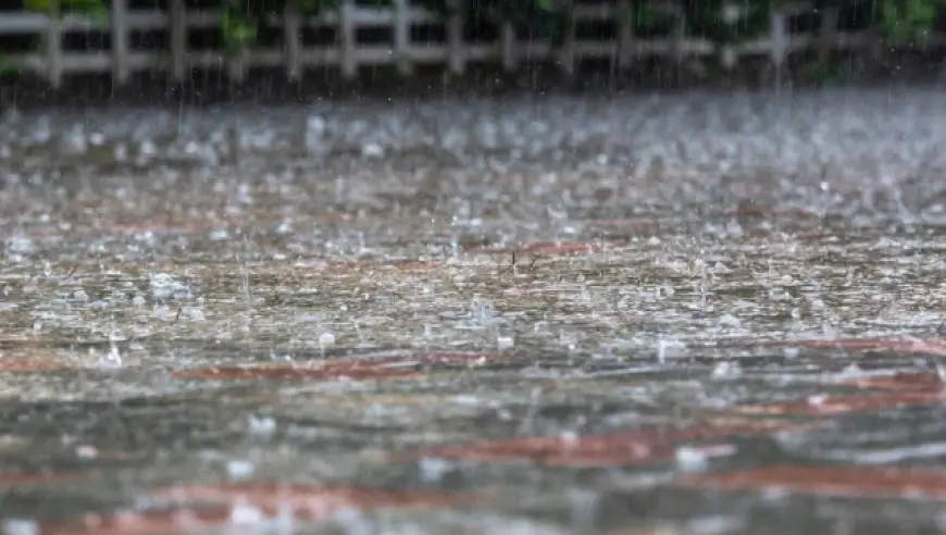实时播报北京多区发布暴雨红色预警
