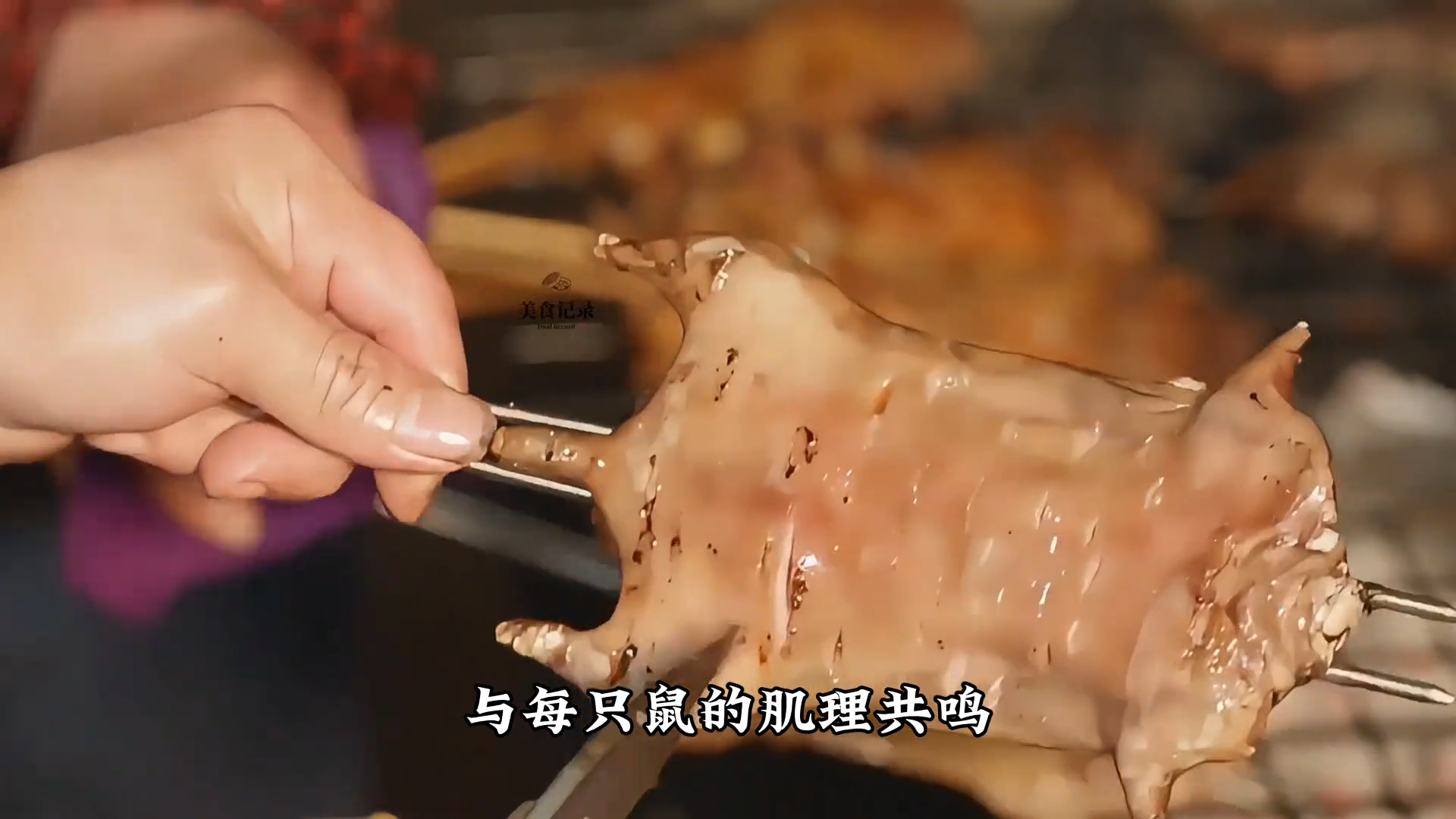 广西烤老鼠 一鼠当三鸡,生活在山区及田间的田鼠与山鼠,是广西人喜爱