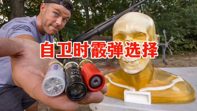 自卫时你会选择哪种霰弹！鸟弹、鹿弹与独头弹：它们谁是最佳防御弹药？_腾讯新闻