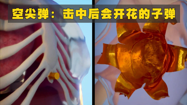 空尖弹：击中后会开花的子弹_腾讯新闻
