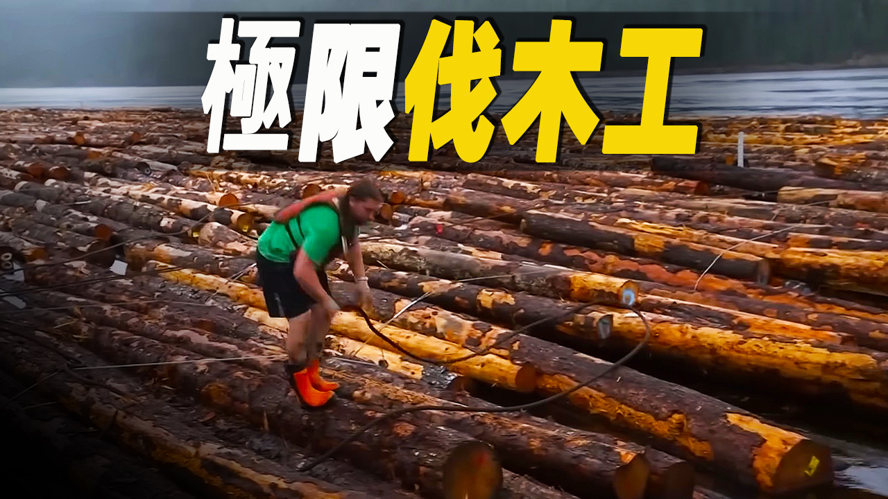 走进加拿大极限伐木工的生活，木材产业养活了12万从业者（一）_腾讯新闻