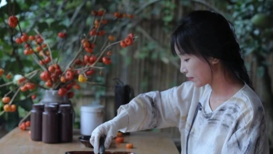 李子柒在人民日报撰文