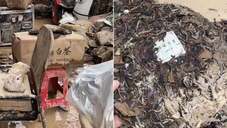『专题』“茶叶都泡了水，来不及抢”，茶商：做茶十五年遇到的最严重水灾