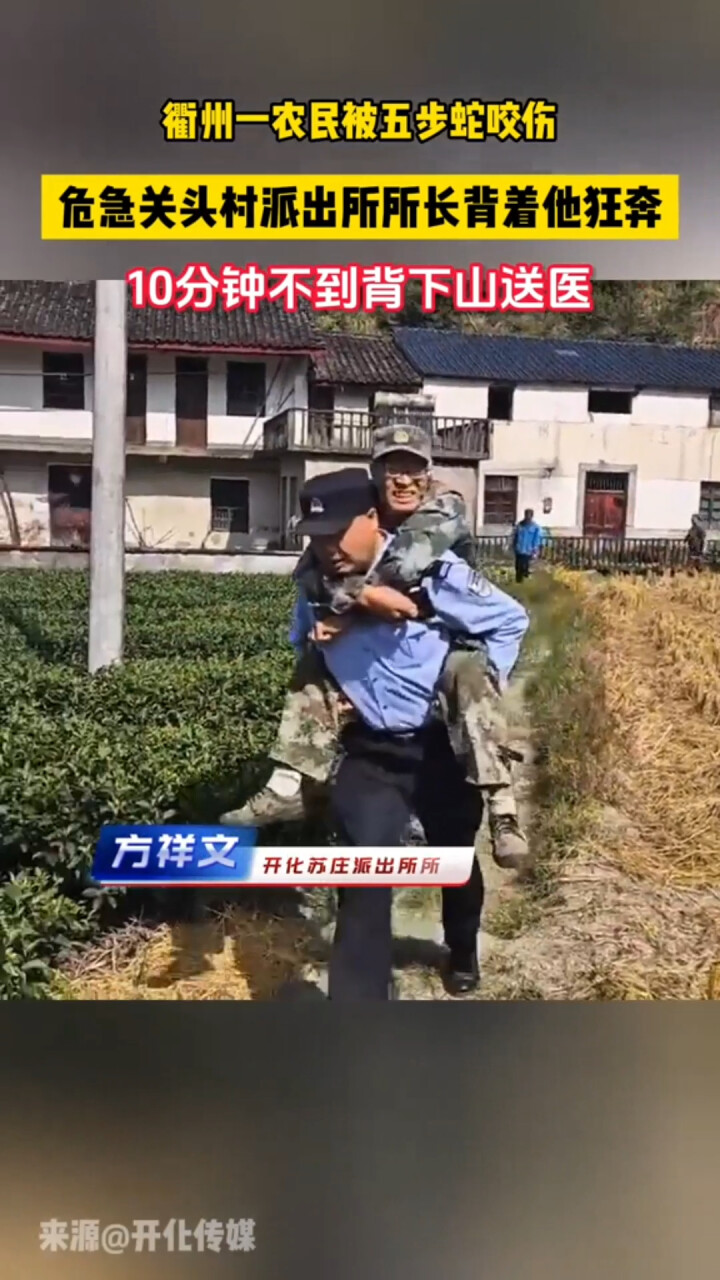 村民上山被五步蛇咬伤，派出所所长背着狂奔，10分钟不到下山送医_腾讯新闻