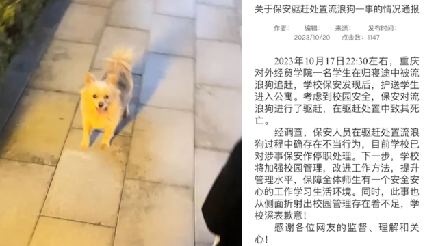重庆高校学生被流浪狗追赶，保安驱赶致死，学校道歉：停职处理_腾讯新闻
