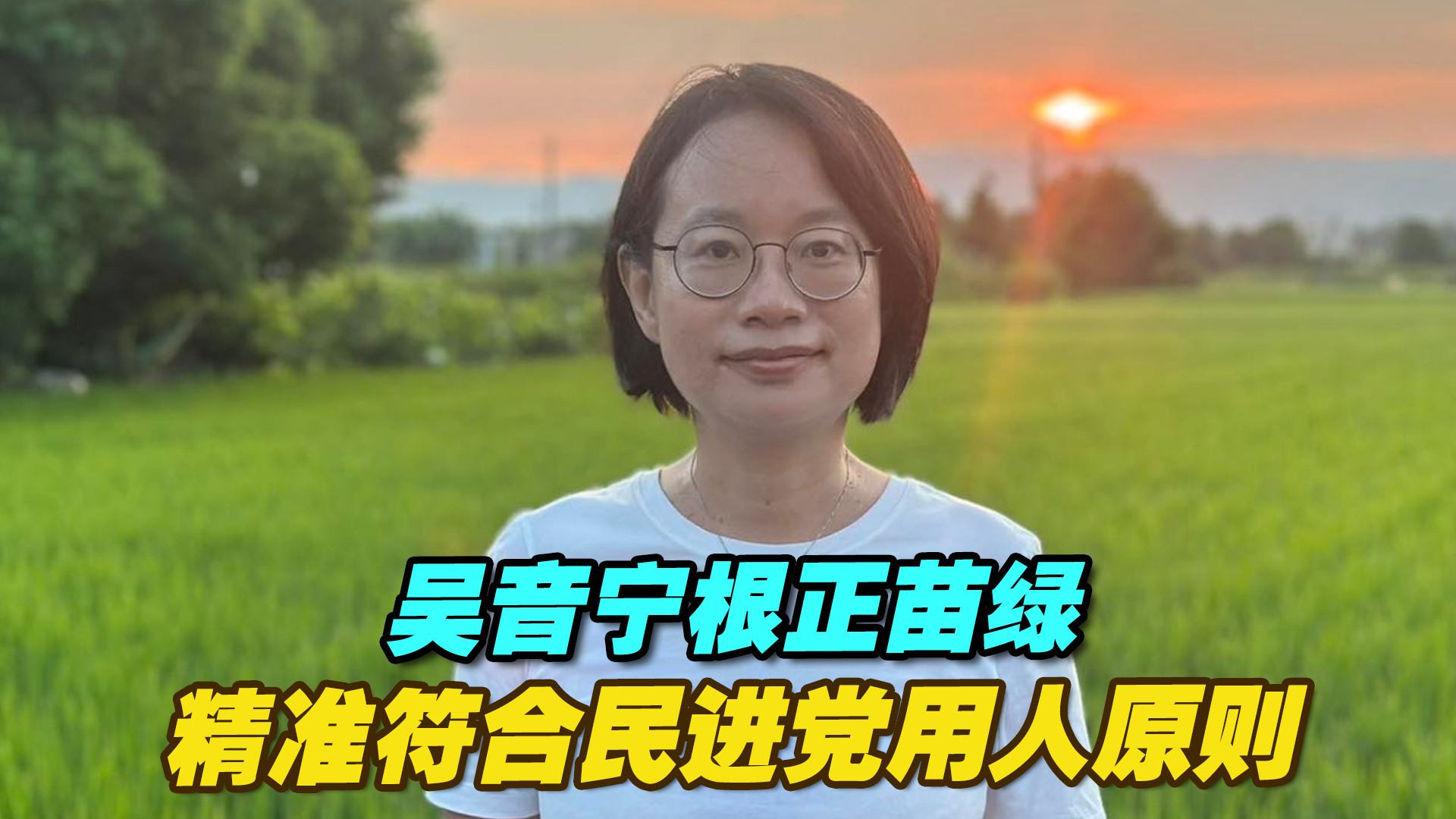 吴音宁根正苗绿，精准符合民进党用人原则_腾讯新闻
