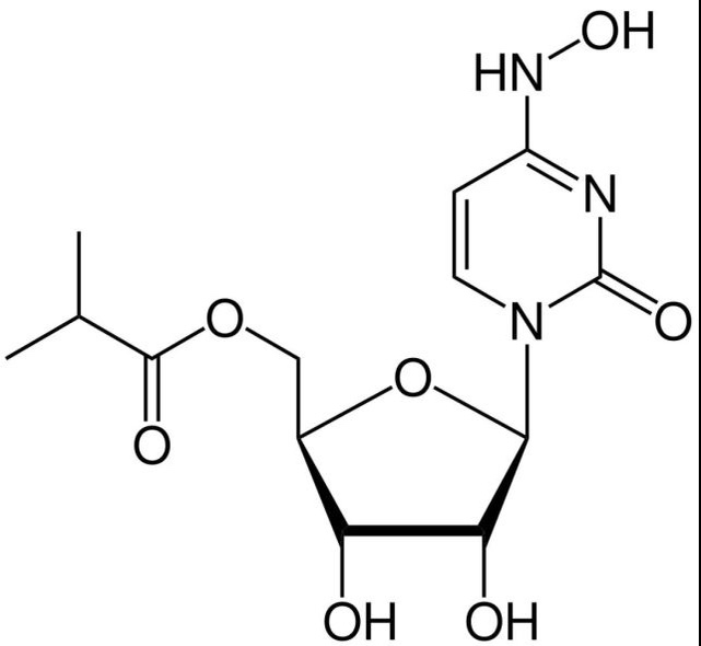 新冠病毒的遗传物质是rna,侵染人体以后,它需要在rna聚合酶的作用下
