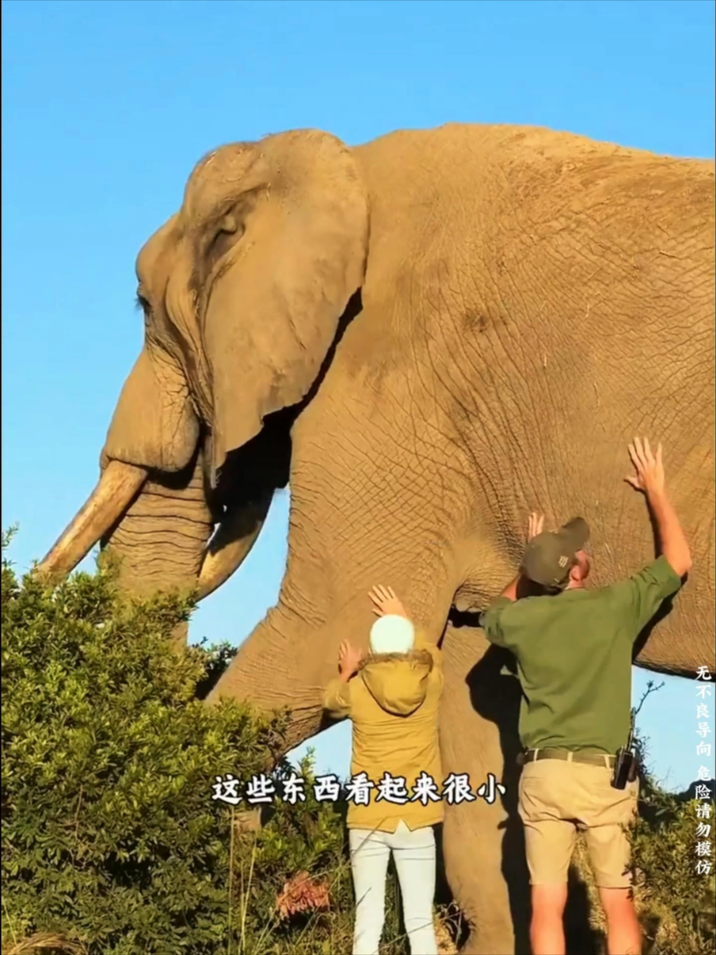这些东西看起来很小，其实非常的大！_腾讯新闻