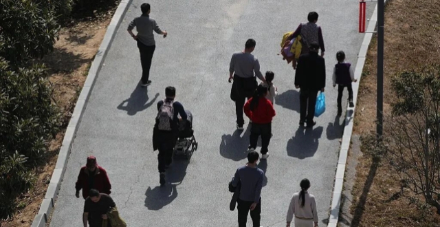 春节长假，“家门口旅游”火了缩略图