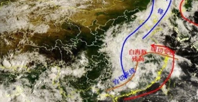 白海豚残涡将从江浙沪入海再北上