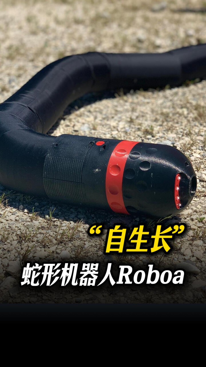 “自生长”蛇形机器人Roboa_腾讯新闻