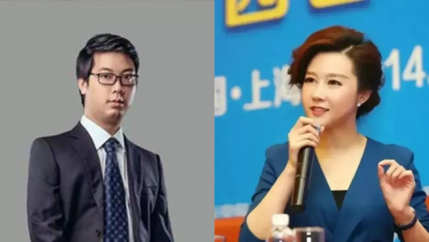 百亿杉杉重整背后：继母挑大梁儿子暂居日本杉杉股份总经理被边控？