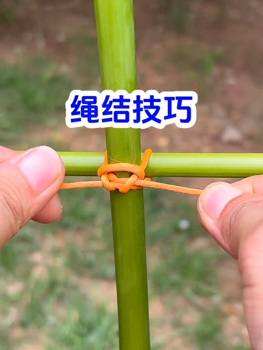 竹子表面光滑难绑，学会自锁绳结，拉紧就不会松_腾讯新闻