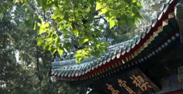 马克龙到北京，为何参观这座“花园”？缩略图