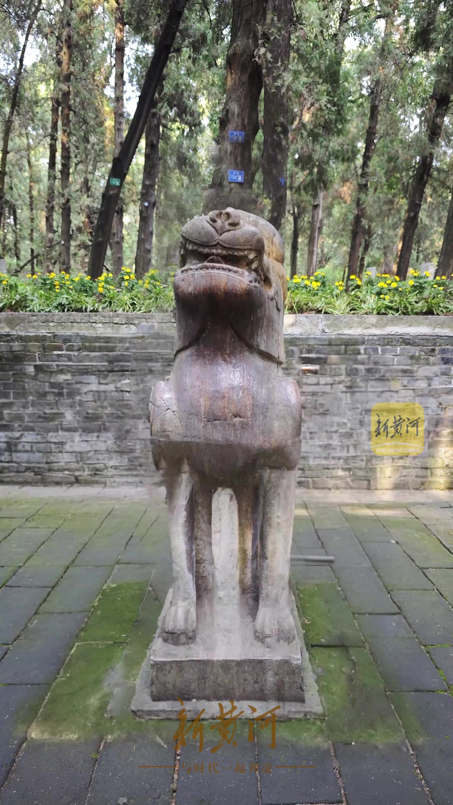 孔林孔子墓甬道两旁憨萌可爱的“神兽”石雕是什么，你知道吗？_腾讯新闻