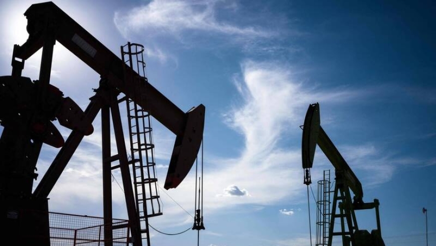 国际油价飙至每桶116美元后快速回落；2月全国CPI同比涨1.3%