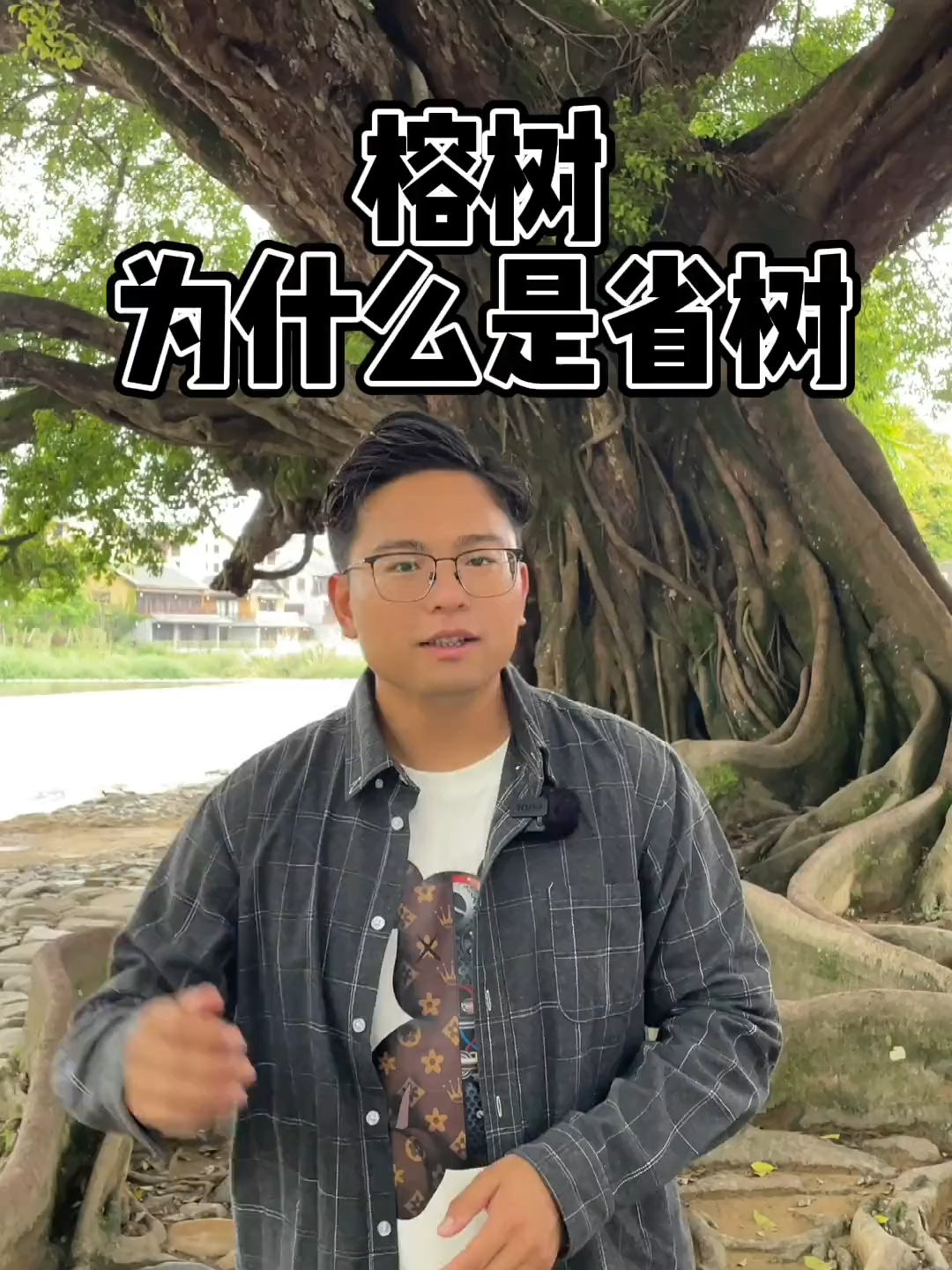 这个榕树像是成精了，为什么成精的树会是福建的榕树？_腾讯新闻