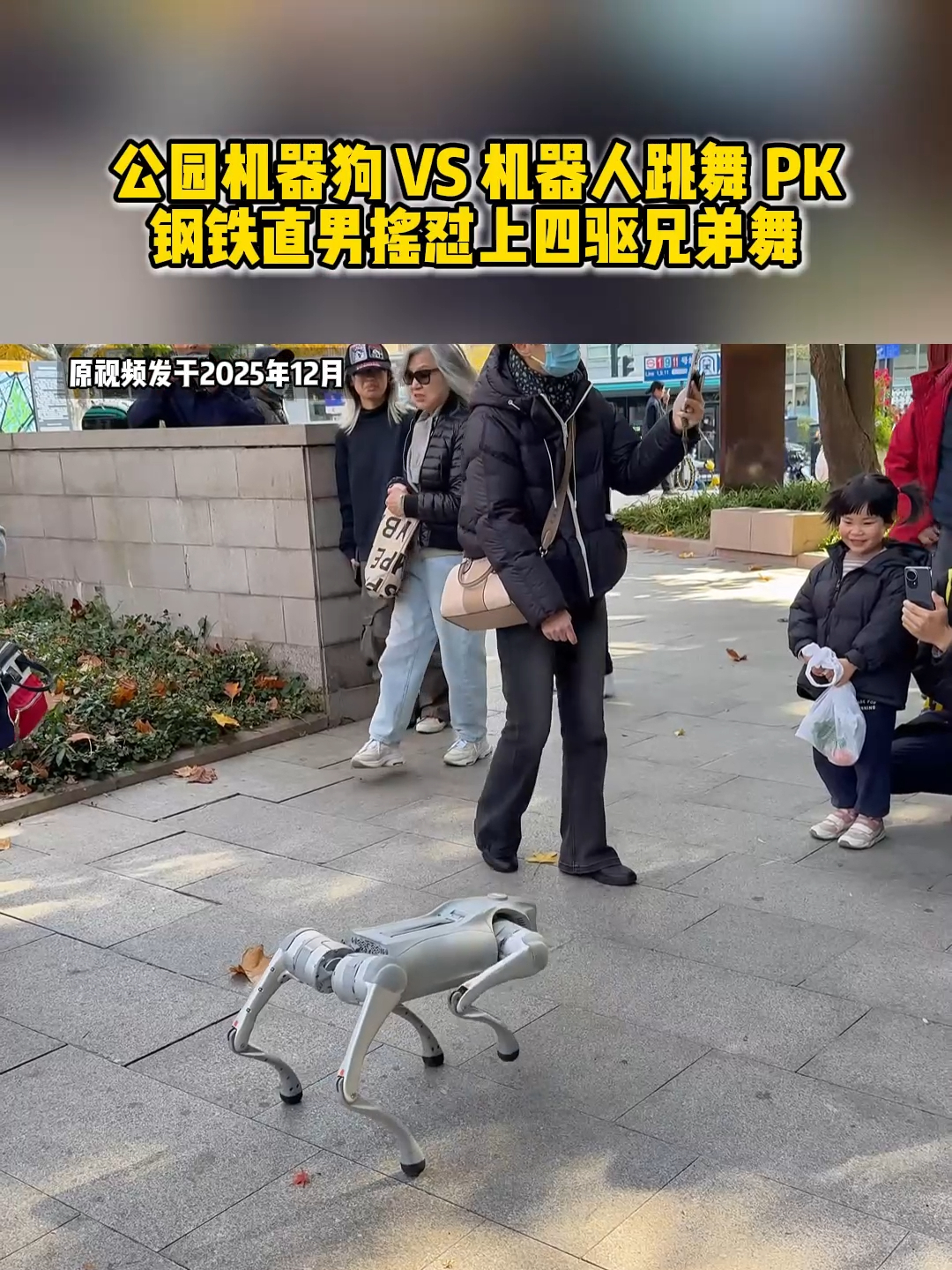 公园机器狗 vs 机器人跳舞 pk,钢铁直男摇怼上四驱兄弟舞