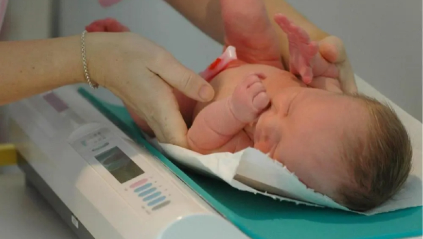 湖北一地宣布：试管婴儿最高补贴1万元！全国已有7省份生娃基本不花钱