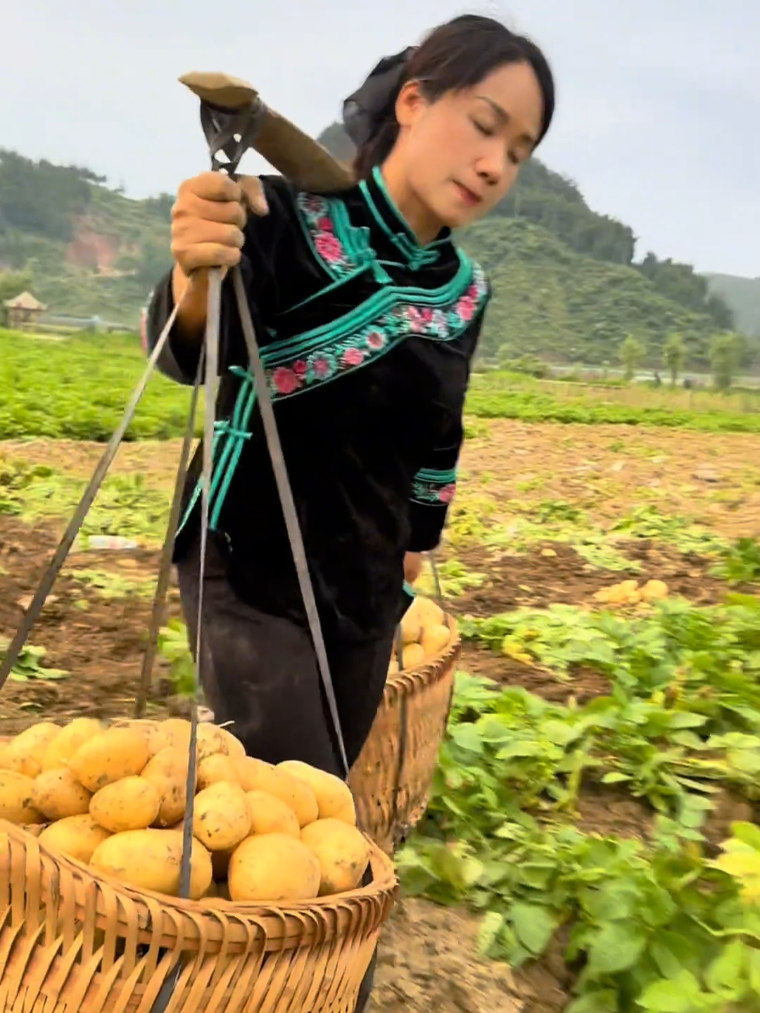 当我面对生活的风风雨雨，我无处躲避，也找不到一个安全的港湾_腾讯新闻
