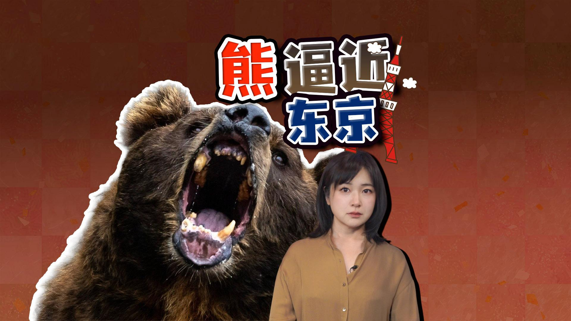 赴日游客当心：日本熊害失控 熊逼近东京 自卫队已赴秋田_腾讯新闻