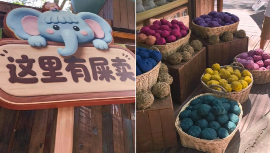 『专题』西双版纳一景区用大象粪便做文创产品，工作人员：产品没有臭味