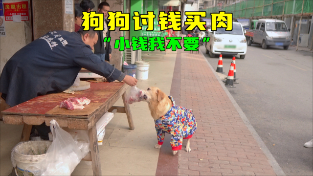 狗狗讨钱不要小钞，讨到20块才离开，原来是去肉摊买大肉吃_腾讯新闻