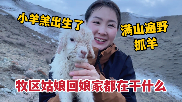 你抱过新生的小羊羔吗？99新还带热气的那种_腾讯新闻