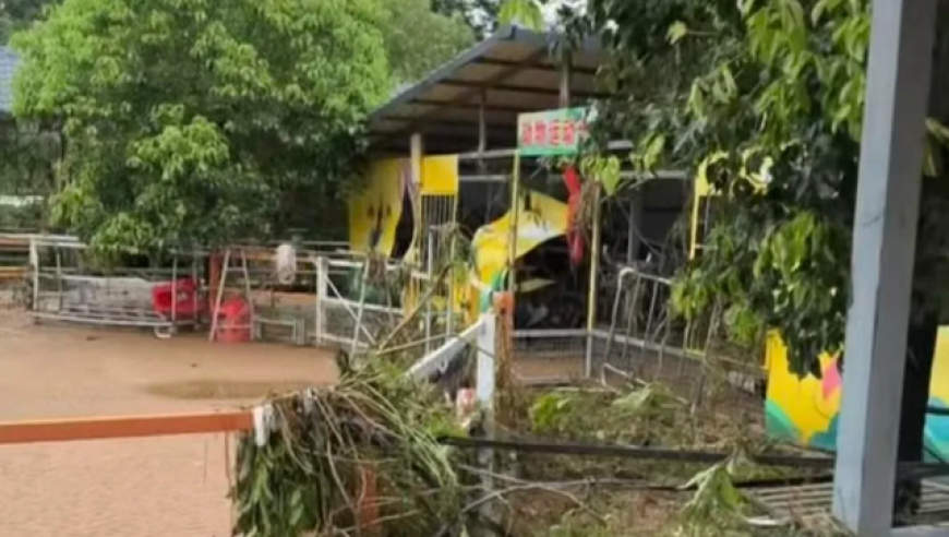 『专题』洪水到来前，一个动物园老板选择“锁死猛兽区笼门”