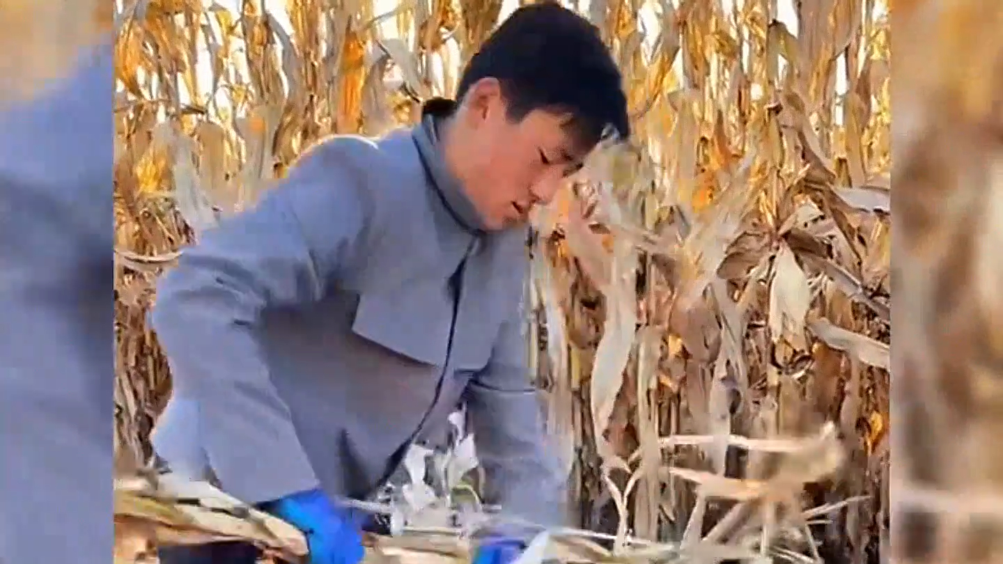 盘点那些捧杀名场面，在声声夸赞中彻底迷失自我！_腾讯新闻