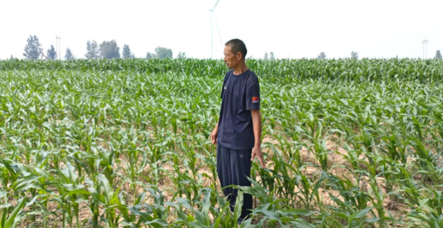 爱读书的工地大叔走红后第一个春节：继续种地、看书，想多拍点儿视频丨2026策“马”新生缩略图
