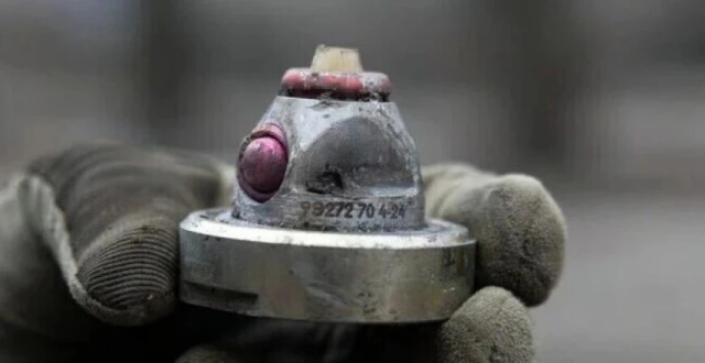 即将“退群”！波兰最新表态缩略图