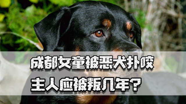 成都女童被恶犬扑咬，主人应被判几年？有无办法彻底杜绝此类事件_腾讯新闻