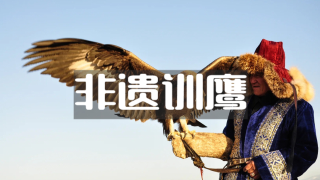 非遗驯鹰技艺：“熬鹰” 背后的人与猛禽共生智慧丨纪录片_腾讯新闻