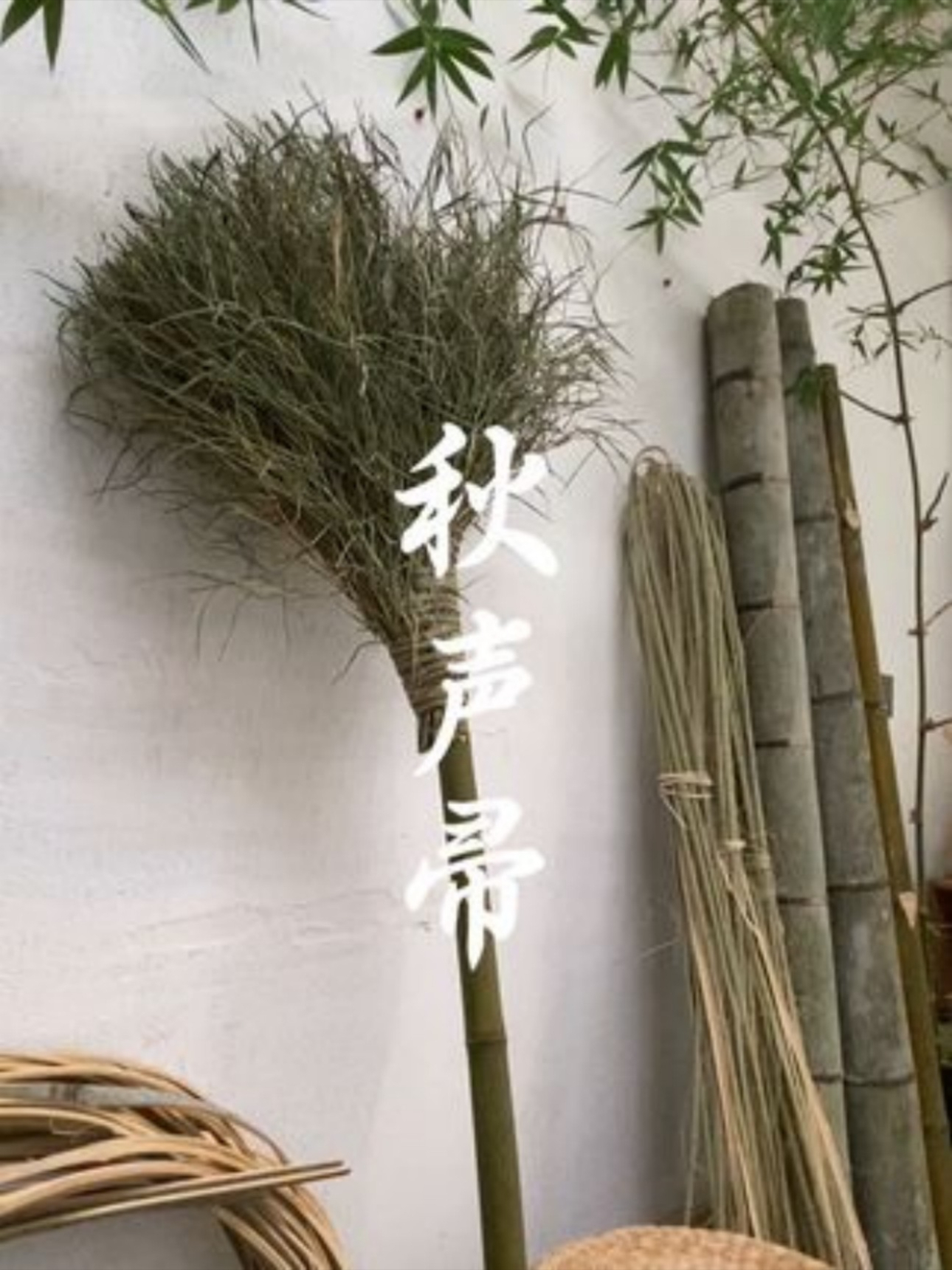 【秋声帚】老竹劈出千条风骨，竹枝蘸取晨霜， 书写季节的轮回！_腾讯新闻