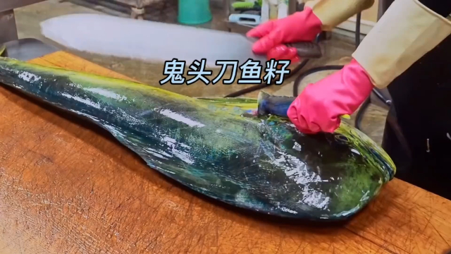 鬼头刀不仅鱼肉可口，它的鱼籽才是更加让人垂涎三尺的美味_腾讯新闻