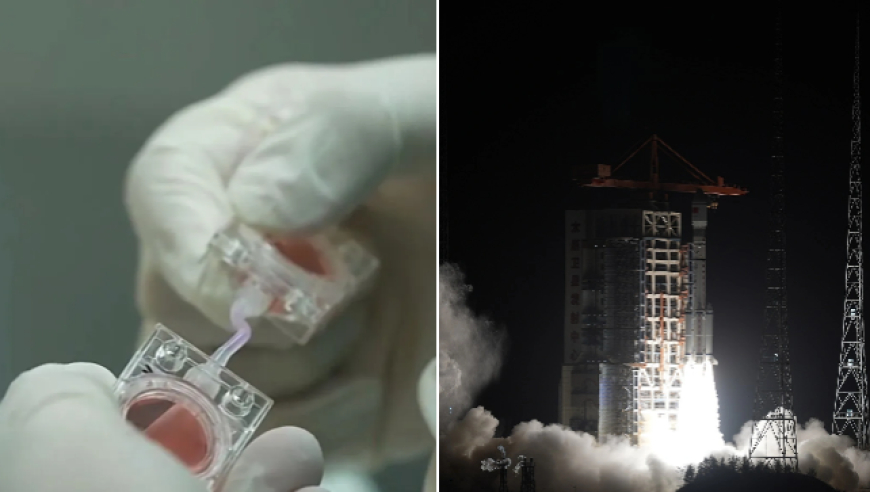 首次，首项，首个！本周我国多领域实现突破