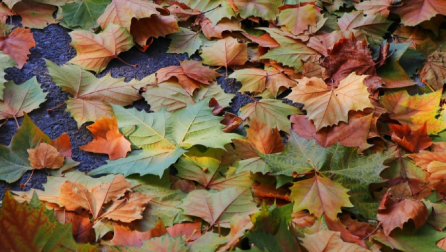 Global Diplomatic Dynamics; Weather Warnings in China; Prince Andrew's Scandal; China's Green Initiatives; Football Excitement; UN Staffing Cuts; Iran's Nuclear Developments