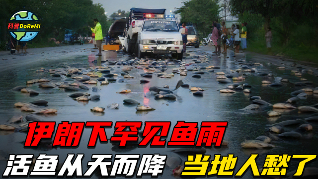 伊朗下罕见鱼雨：大量活鱼从天而降活蹦乱跳！当地人快愁死了！_腾讯新闻