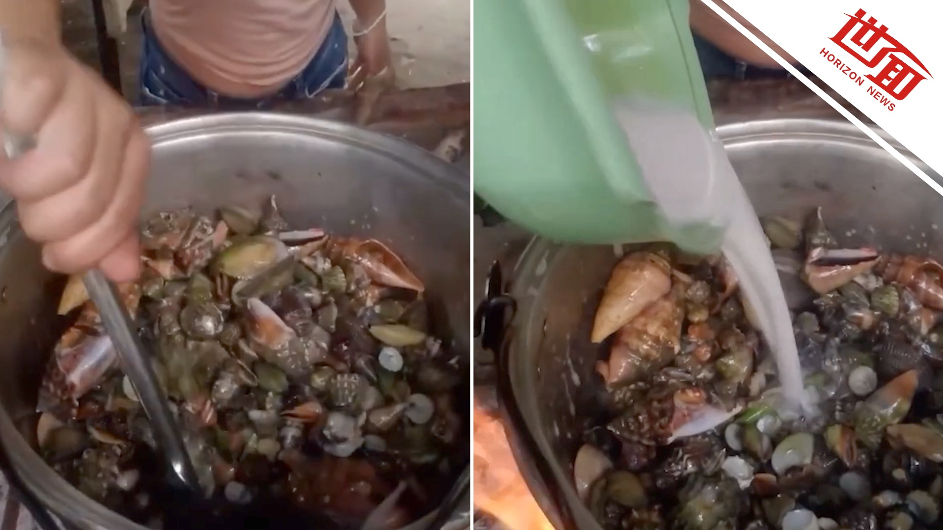 菲律宾一美食博主食用剧毒魔鬼蟹身亡：狼吞虎咽画面曝光 送医时抽搐不止_腾讯新闻