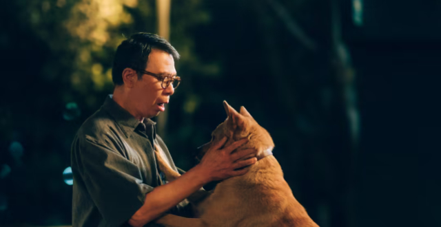 忠犬“八公”变“八筒”，一样分别两样情_腾讯新闻
