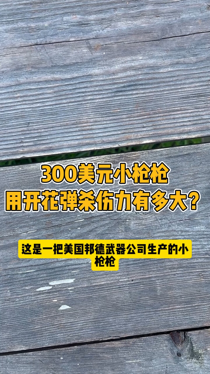 300美元小枪枪，用开花弹杀伤力有多大？_腾讯新闻