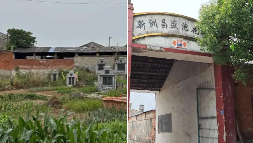 『专题』“武汉一村庄62人先后罹患癌症，多为青壮年”，官方通报