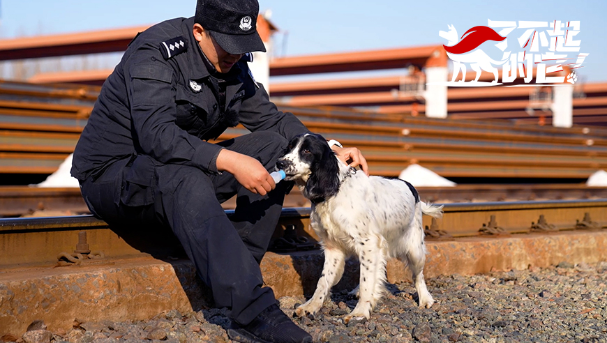 ���̲�Ӱ����ץ���ˣ�С�̹���Ȯ��û���̾Ϳ�ʼ�ѱ�ը����