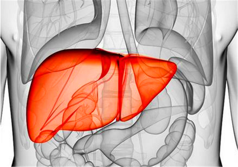 肠胃消化系统发出这些信号,说明肝脏出现了问题_腾讯新闻